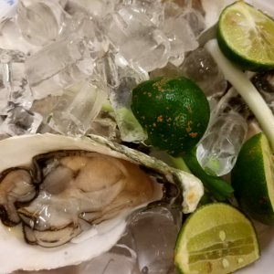 hào sống raw oyster
