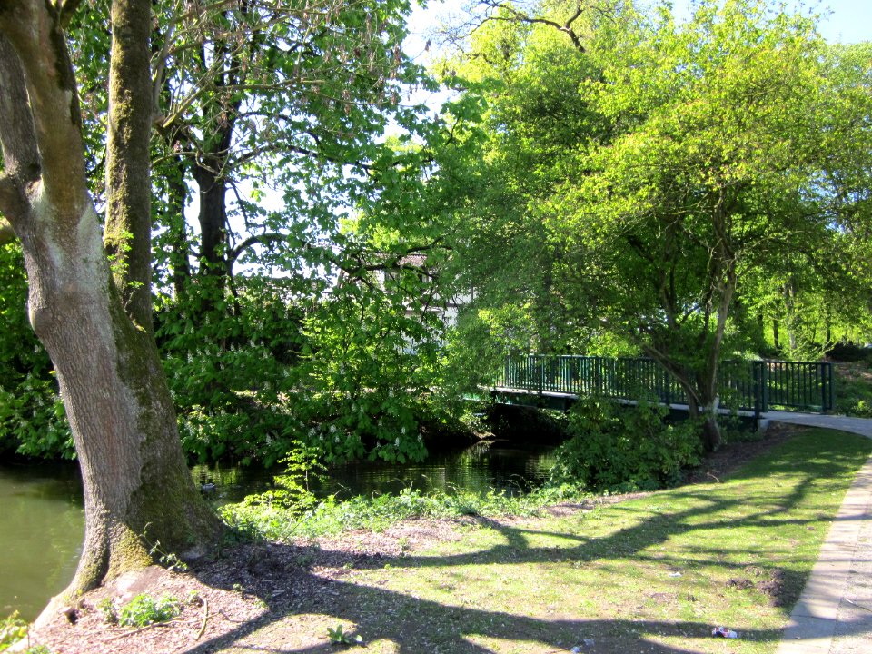 Blick in den Park 2