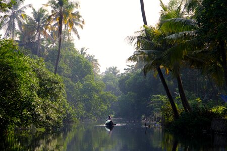 Rainforest boat rowing boat photo