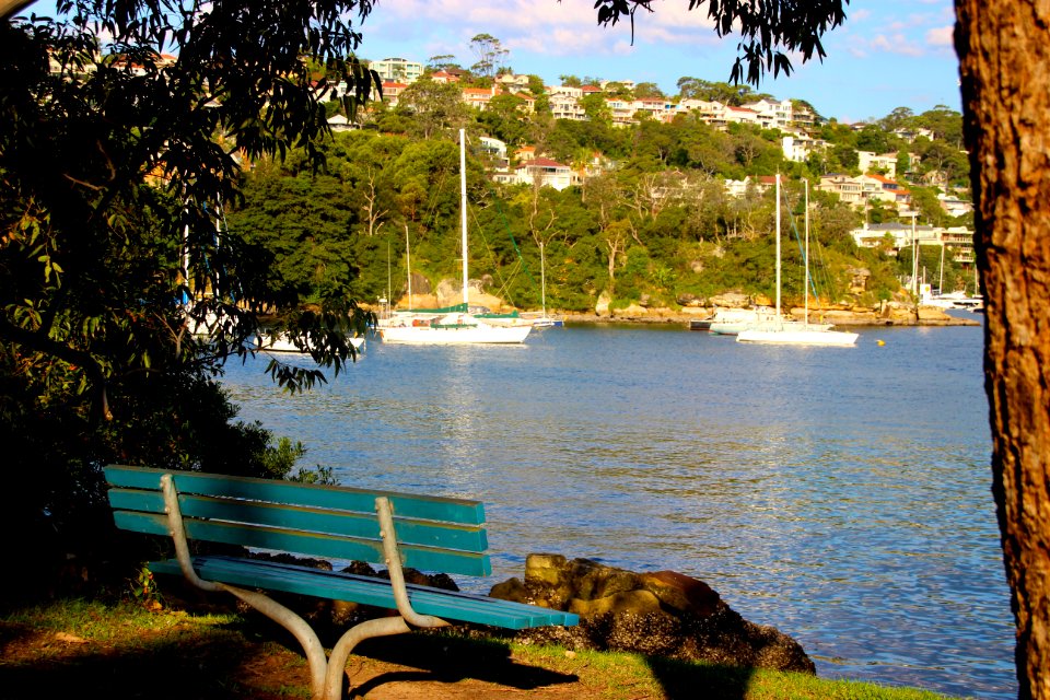 A bench with a view