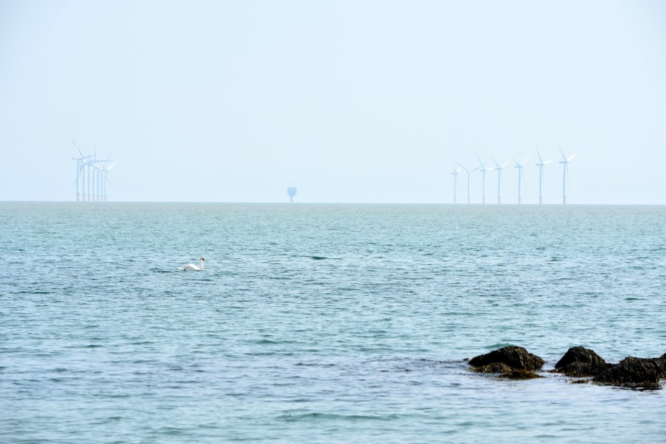 dsc 1336 37555135145 o