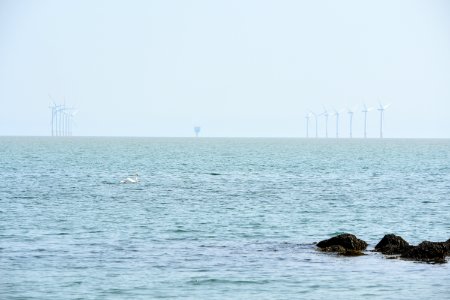 dsc 1336 37555135145 o