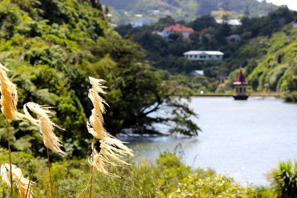 Karori Wildlife Sanctuary