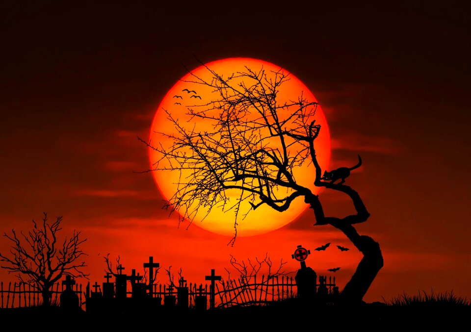 Gespenstig mystical midnight