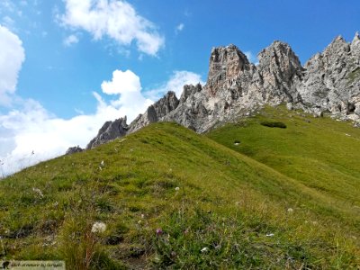 DAM1923 - Passo Gardena photo