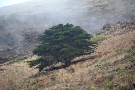 Sendero Tiñor-Puerto