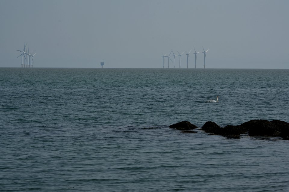 dsc 1340 38441932191 o