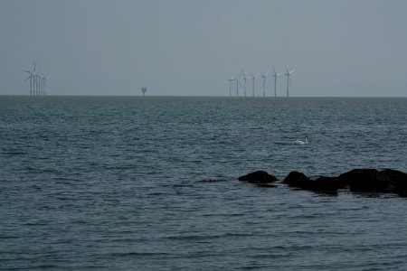 dsc 1340 38441932191 o