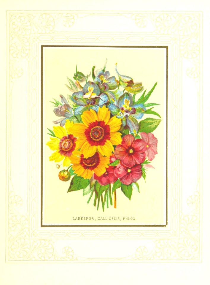 Floral Poetry and the language of flowers. With coloured illustrations. [The editor's preface is signed J. H. S.]