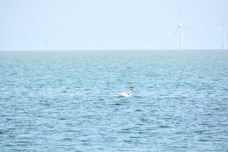 dsc 1333 37555142865 o