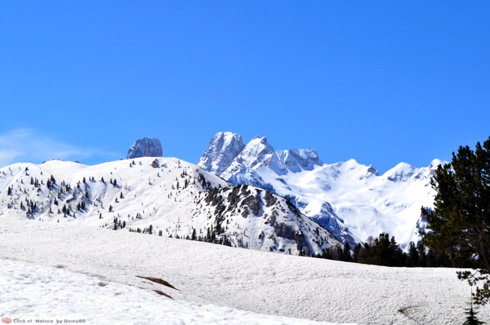 DAM1641 - Dolomiti - Prato Piazza-Trentino