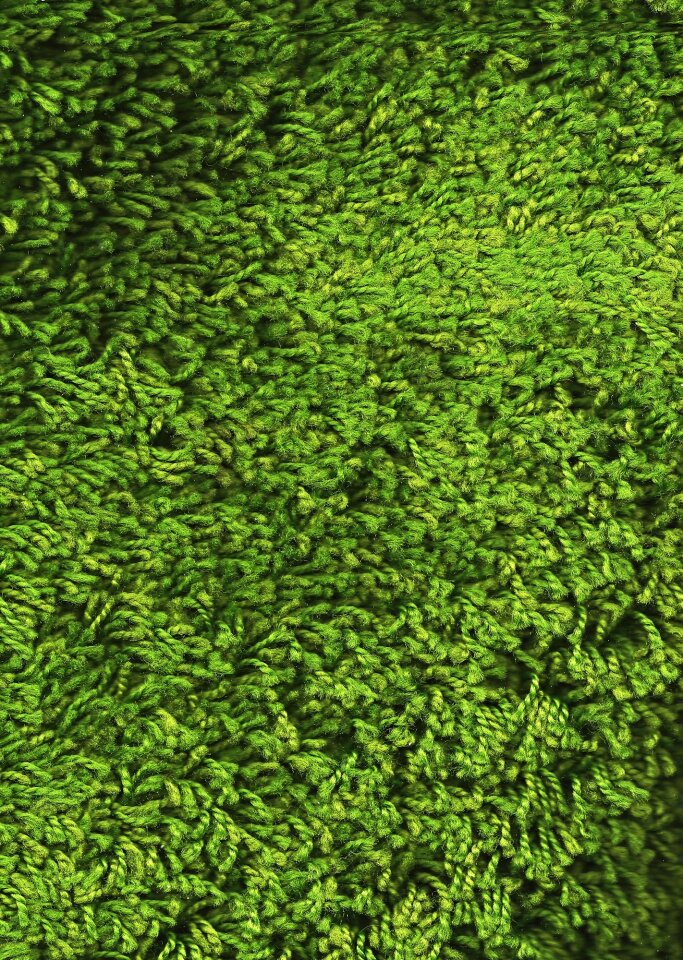 Carpet blanket villi