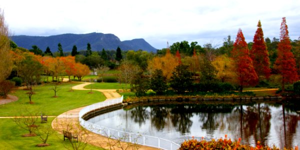 Hunter Valley Gardens 4