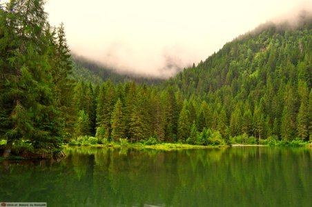 DAM1632 - Lago dei Caprioli