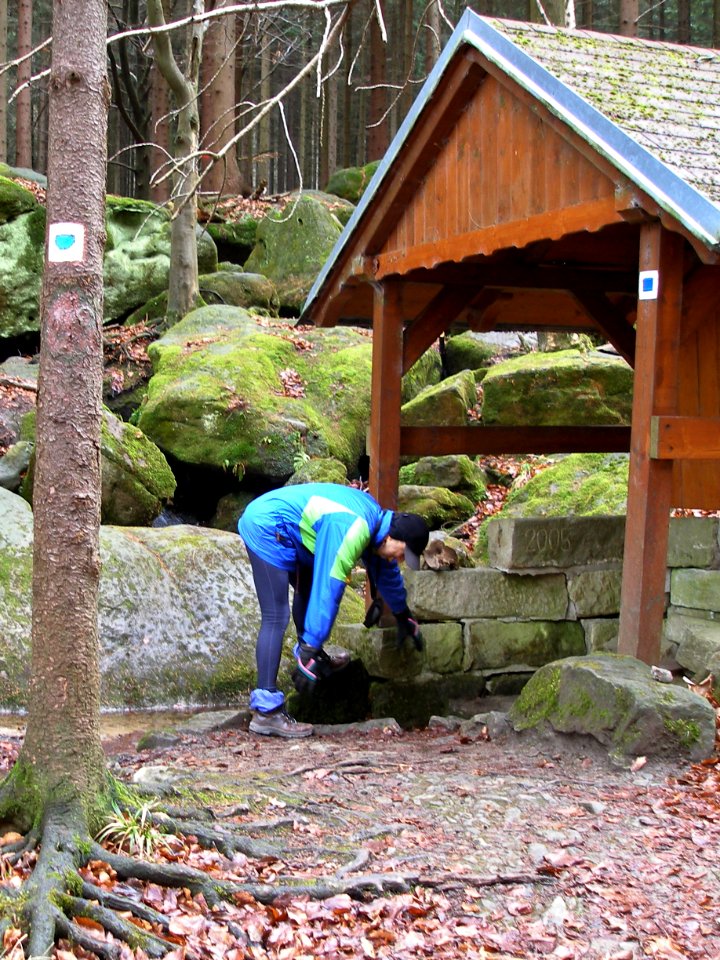Studánka pod Borem