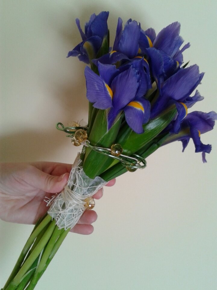 Blue cut flowers purple