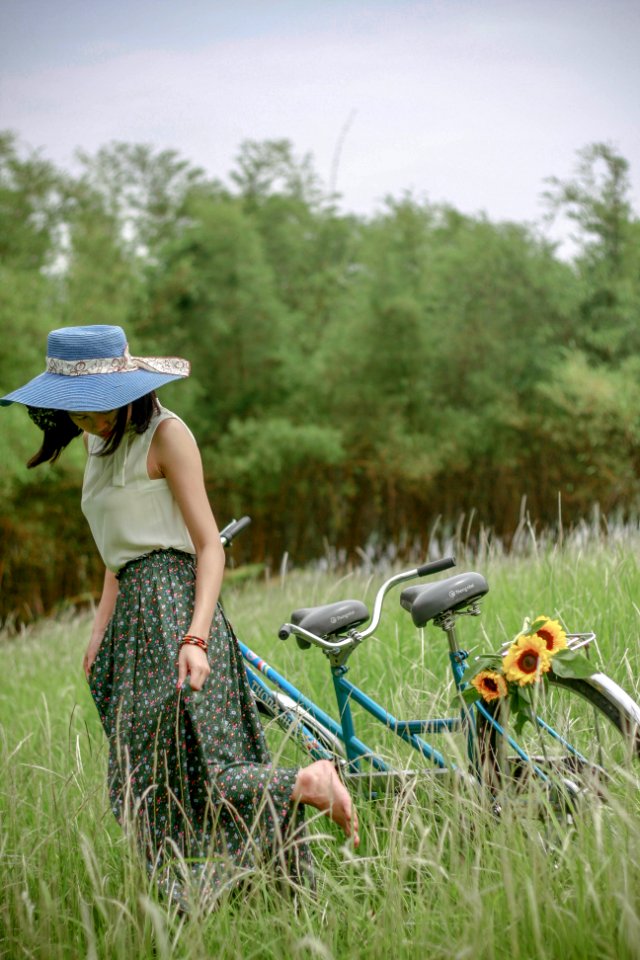 Tôi thấy hoa vàng trên cỏ xanh :)