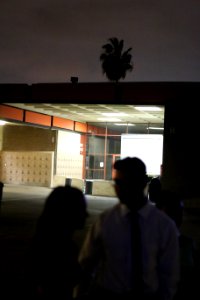 IMG 4835