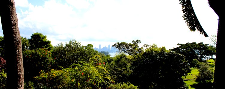 Harbour from Vaucluse
