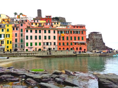 DAM1585 - Liguria - Cinque Terre - Vernazza