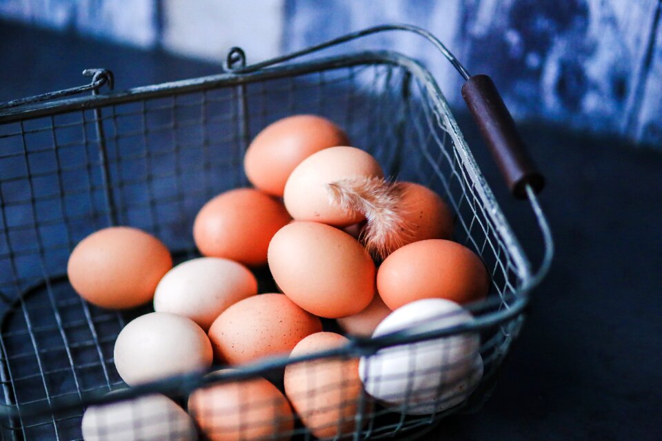 Basket closeup blue egg