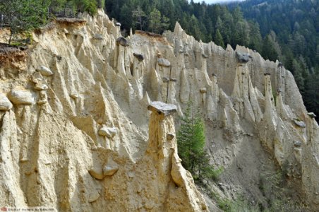 DAM1669 - Dolomiti - Piramidi di terra