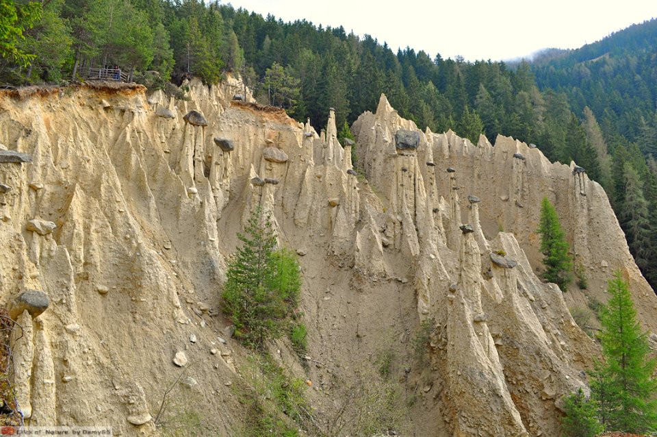 DAM1668 - Dolomiti - Piramidi di terra