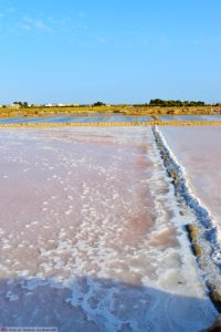 DAM1774 - Sicilia - Sale
