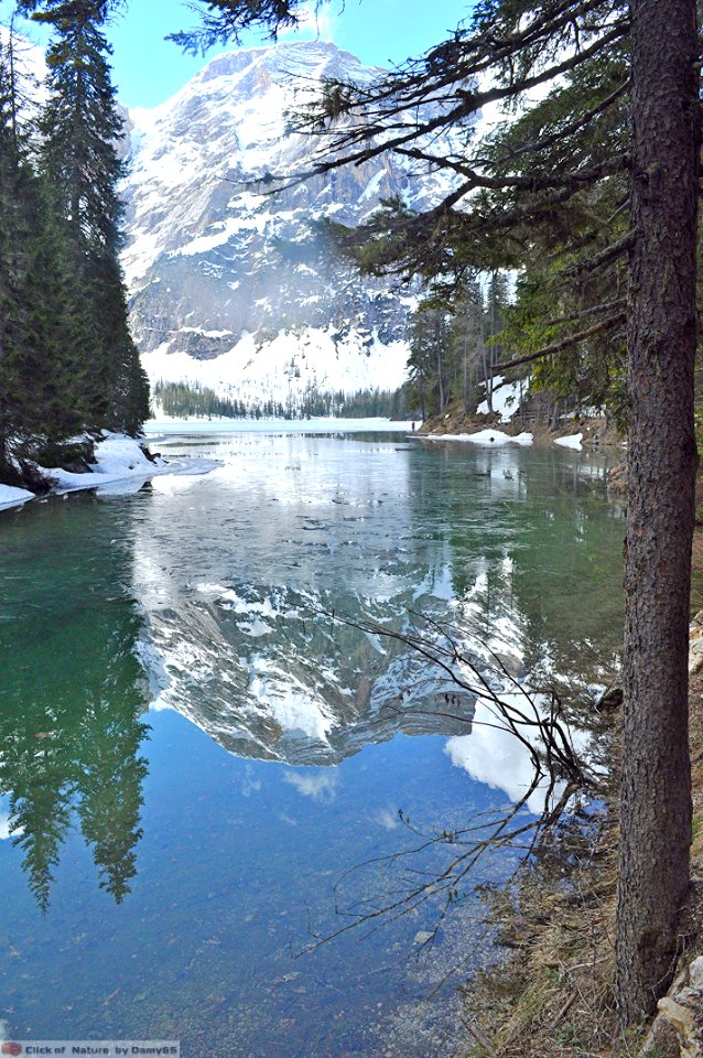 DAM1659 - Dolomiti - Quel ramo del lago di Braies ......