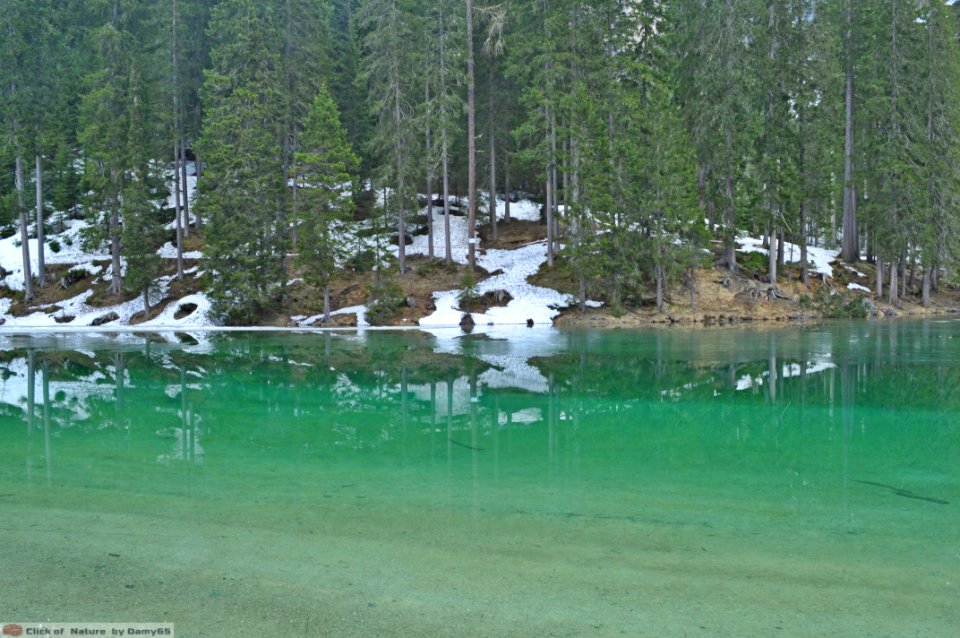 DAM1655 - Dolomiti - Lago di Braies