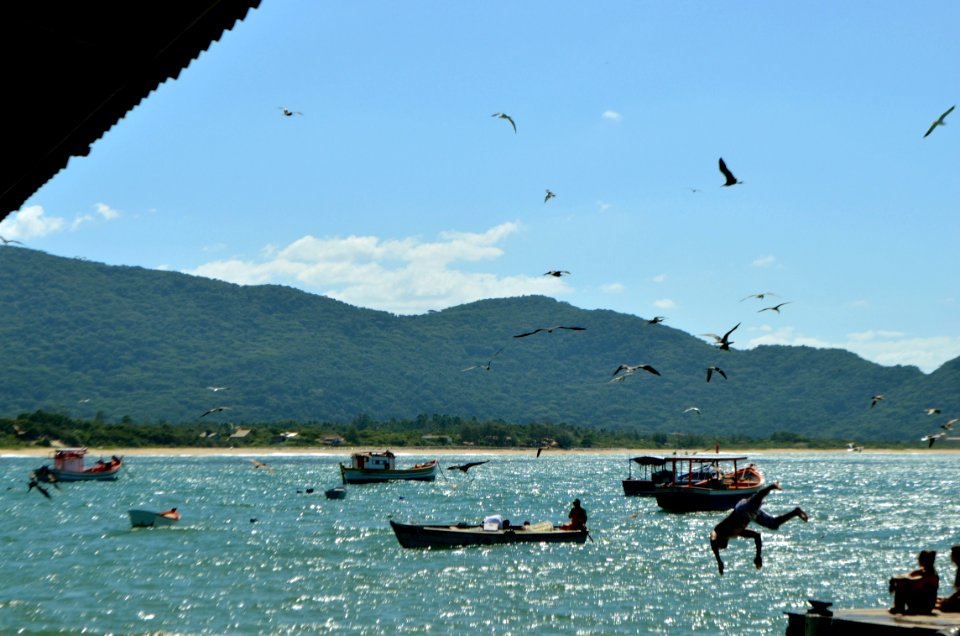 Praia da Armação, Florianópolis