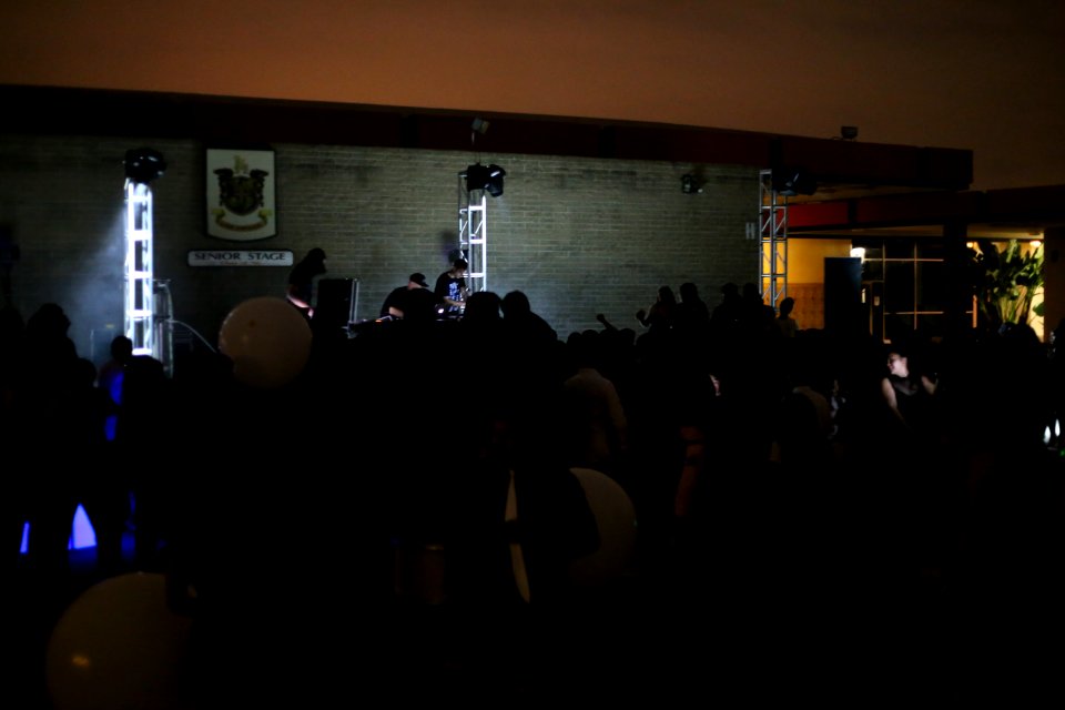 IMG 9959