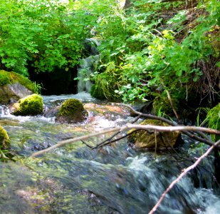 Horton Creek photo