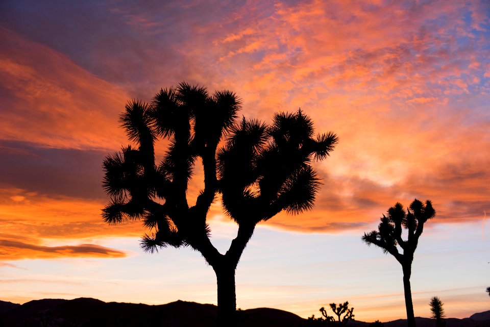 Sunset in Lost Horse Valley