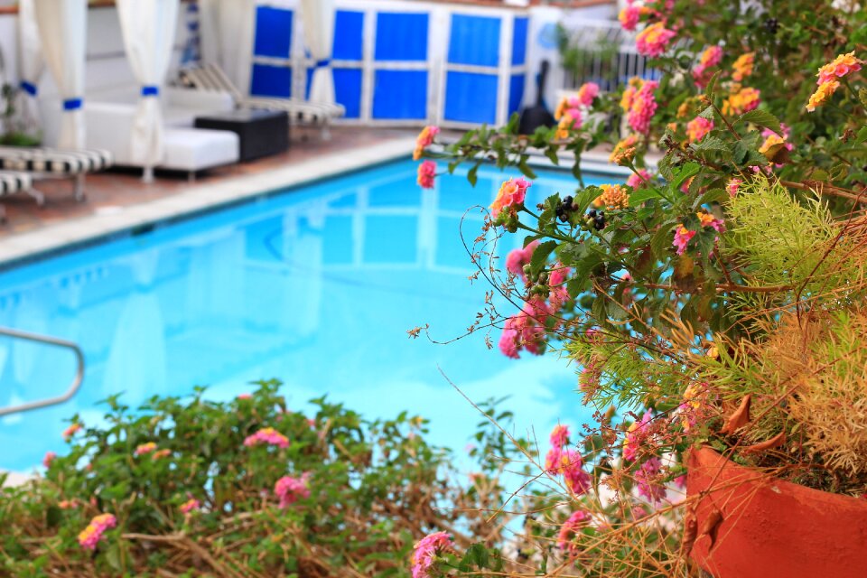 Hotel garden gardening