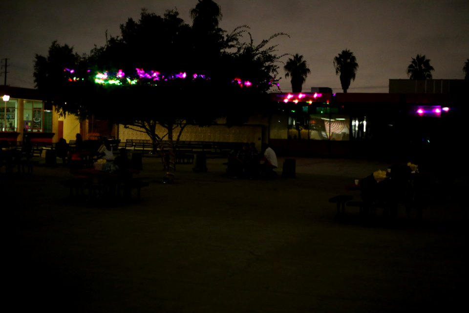 IMG 9758