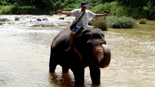 Pinnawela Elephant Orphanage