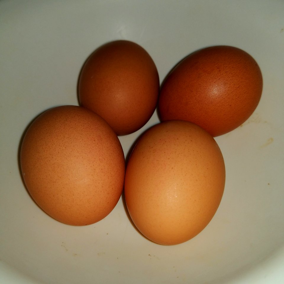 boiled eggs in refrigerator trứng luộc trong tủ lạnh