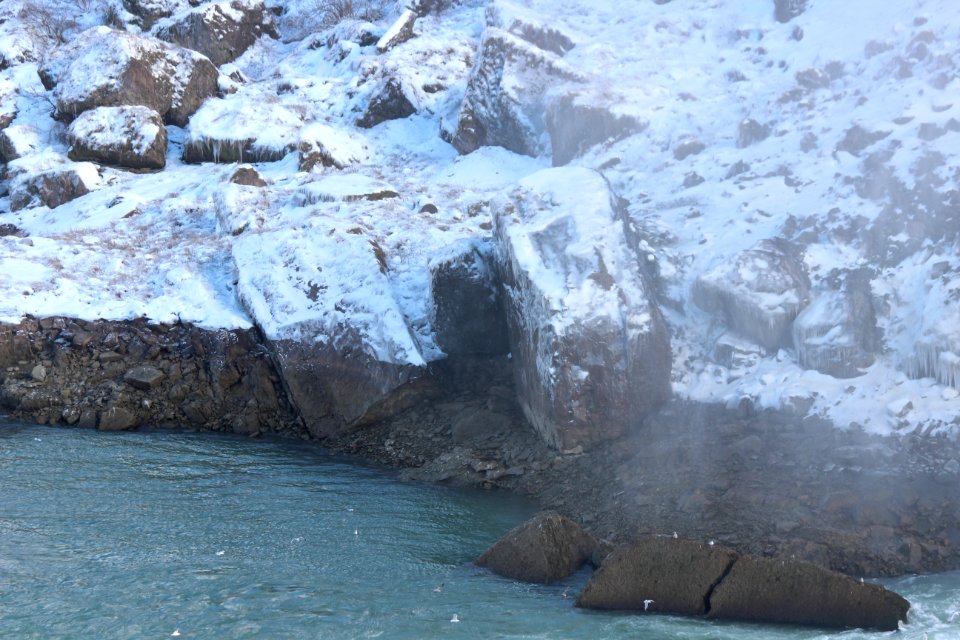 Rocks, snow, Water, seagulls