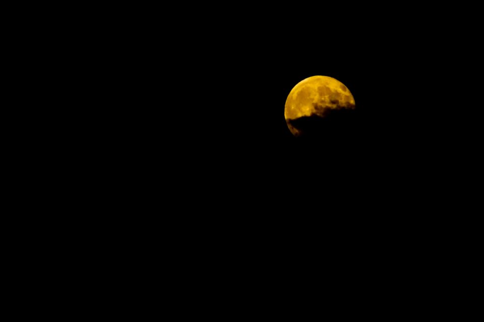 Thanks to Native Americans for the Deer Moon
