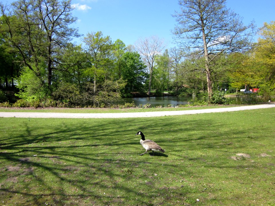 Blick in den Park