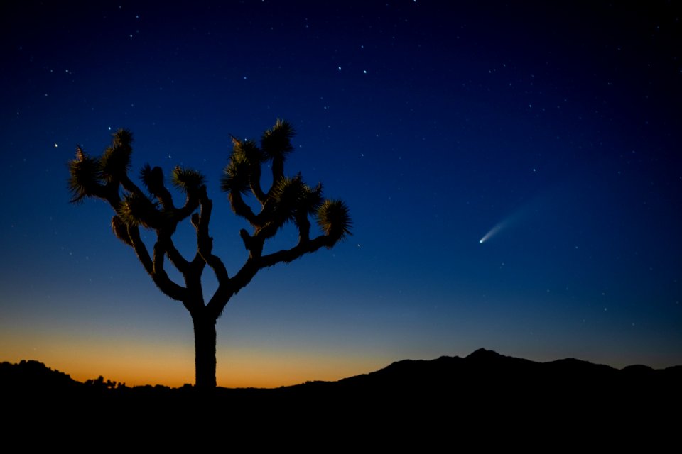 Comet NEOWISE over Queen Valley