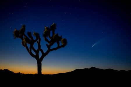 Comet NEOWISE over Queen Valley photo