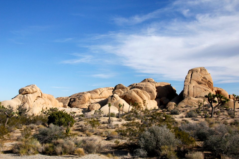 Jumbo Rocks Campground