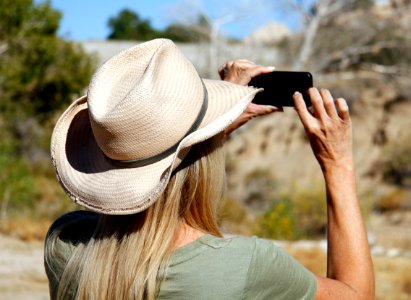 Park Visitor Uses Smartphone to Take a Picture of Bighorn Sheep photo