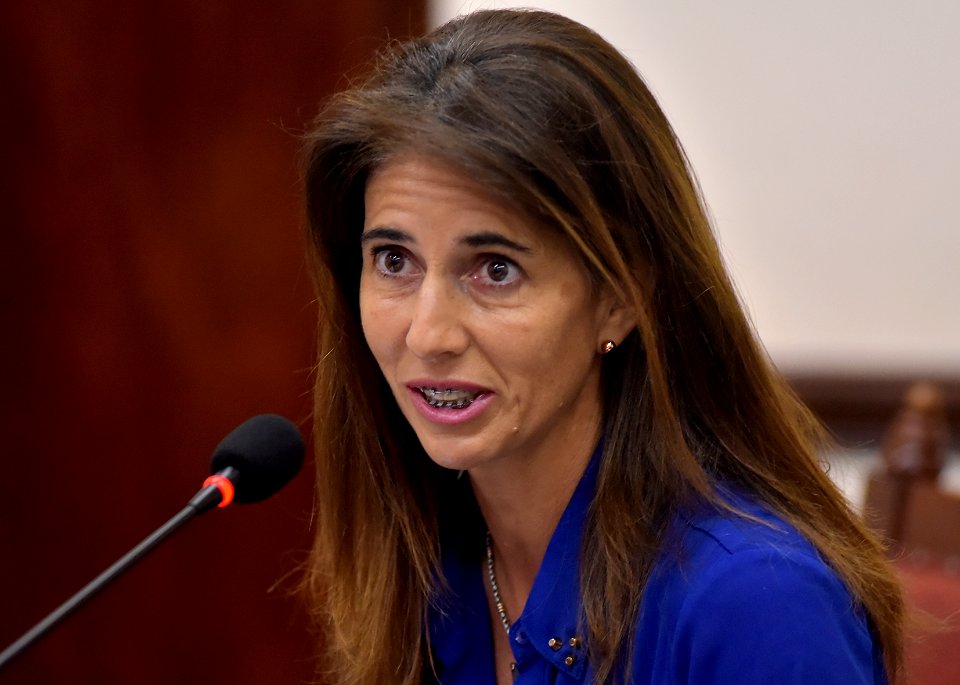 Comisión especial de análisis del proyecto referido a la instalación de las estructuras soportes de antenas (24-10-18)