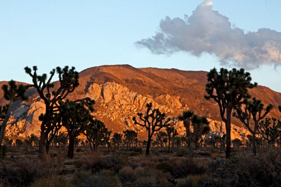 Ryan Mountain Sunset