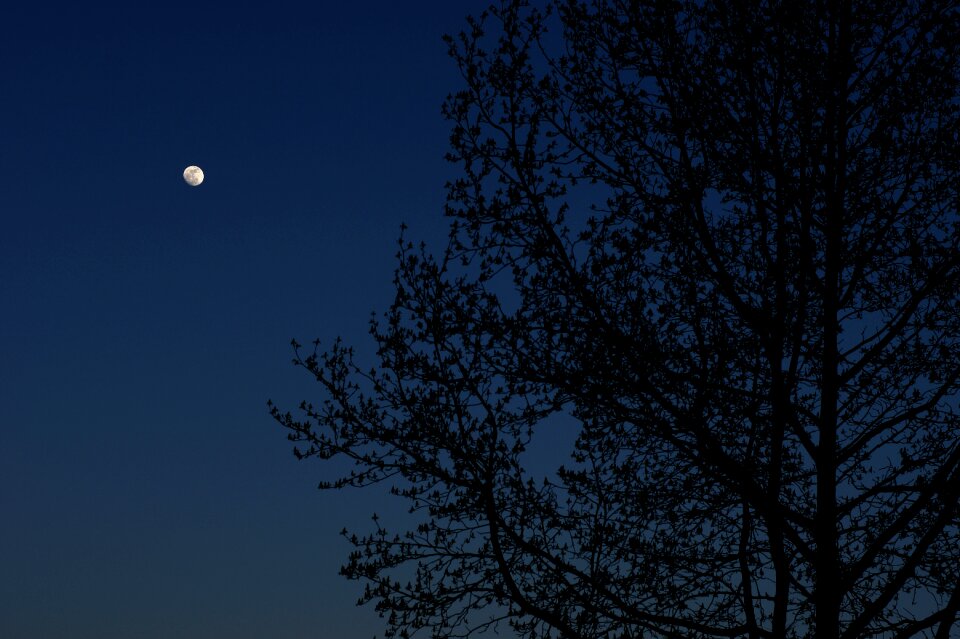 Sky nature dark