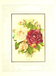 Floral Poetry and the language of flowers. With coloured illustrations. [The editor's preface is signed J. H. S.] photo