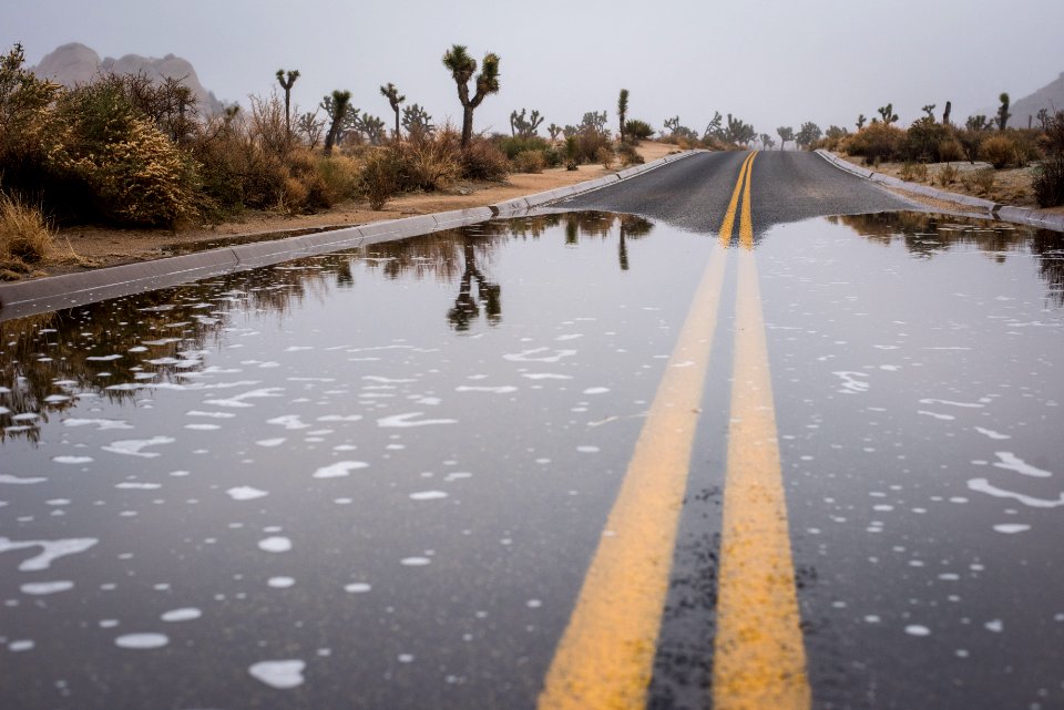 Reflections after rain on Barker Dam Road